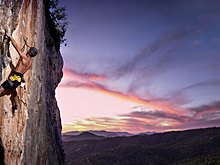 Американский скалолаз забрался на 101-этажный небоскрёб без страховки: видео