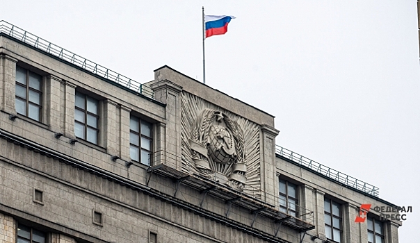 В Госдуме раскритиковали инициативу привлечения в политические организации подростков