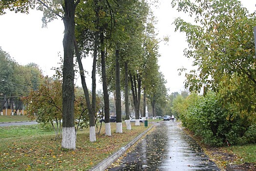 В Приокском районе облагородили деревья