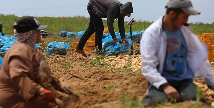 Израильских фермеров не пустили на участки в Иордании