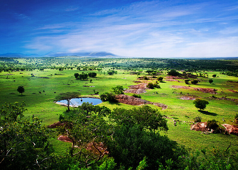 Серенгети – регион в Восточной Африке, который знаменит богатейшим животным миром. Примерно пятьсот видов птиц и три миллиона особей крупных животных обитают на бескрайних равнинах парка.