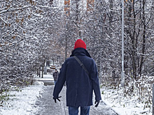 Предсказана вероятность аномальной зимы в Москве