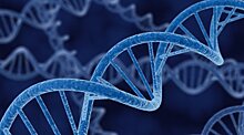 Терапия переносом генов содержит ранее недооцененные риски