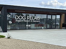 В Риме открыли гостиницу для собак