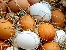 Ученые ответили, что снижает риск смерти от любых причин