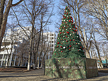 Ростовская область направит 1,7 млрд рублей на благоустройство общественных территорий