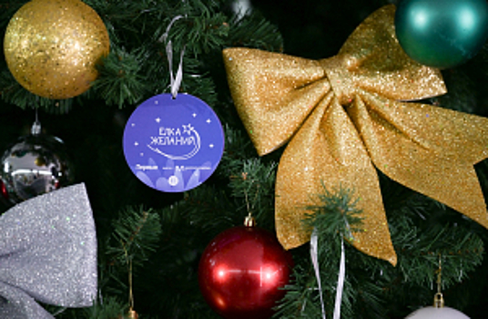 В благотворительной акции «Ёлка желаний» приняли участие заместители Министра внутренних дел Российской Федерации