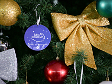 В благотворительной акции «Ёлка желаний» приняли участие заместители Министра внутренних дел Российской Федерации