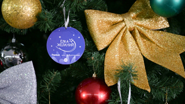 В благотворительной акции «Ёлка желаний» приняли участие заместители Министра внутренних дел Российской Федерации