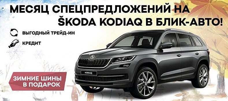 Комплект зимних шин в подарок* при покупке ŠKODA KODIAQ в БЛИК-АВТО!