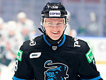 Взлеты и падения перспективного хоккеиста Матвея Мичкова