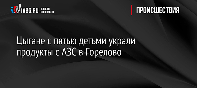 Цыгане с пятью детьми украли продукты с АЗС в Горелово