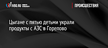 Цыгане с пятью детьми украли продукты с АЗС в Горелово