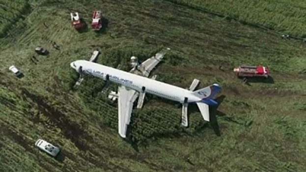 Костромичка поделилась подробностями своего короткого полёта на А321, приземлившемся на кукурузном поле