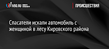 Спасатели искали автомобиль с женщиной в лесу Кировского района