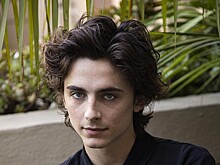 Тимоти Шаламе сыграет Боба Дилана