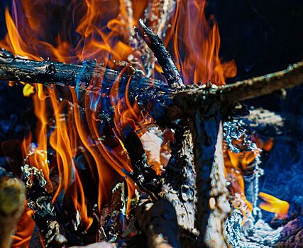 Что делать при возникновении пожара на зеленых территориях