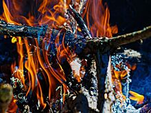 Что делать при возникновении пожара на зеленых территориях