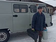 Костромские коровы выстроились в очередь к искусственным осеменителям