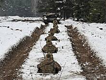 На Украине призвали к прекращению огня