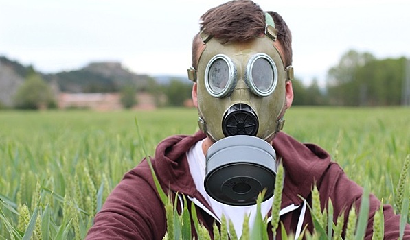 Сельскохозяйственные угодья на планете отравлены пестицидами