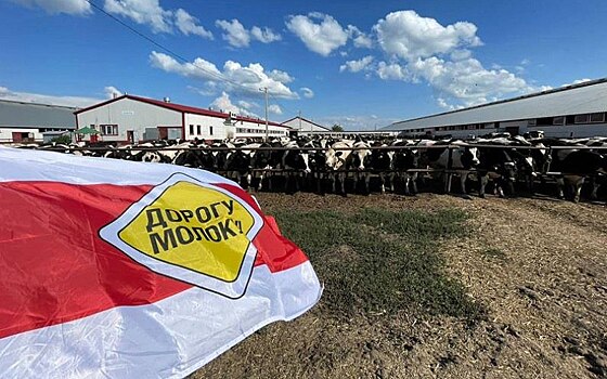 XI Автопробег «Дорогу молоку!» в Турции — мост между Европой и Азией