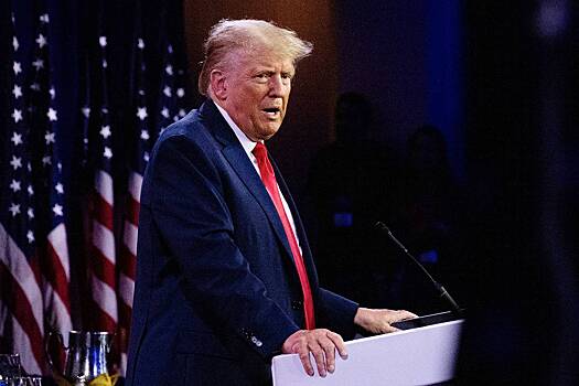 Подробности работы «моста Трампа» раскрыли