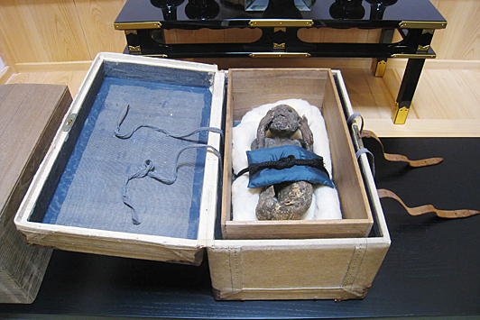 Как японцы разгадали тайну мумии русалки