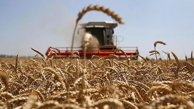 Минсельхоз понизит экспортную пошлину на пшеницу