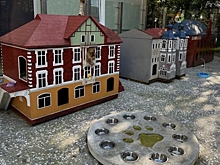 После скандала с мертвыми котятами в Зеленоградске занялись домиками для бездомных животных