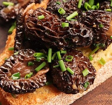 Как приготовить грибы сморчки и вкусные рецепты