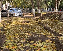 Из-за велодорожек: общественник сообщил об испорченных газонах на Пушкинской в Ростове