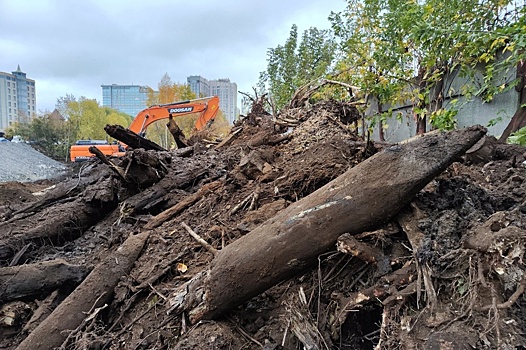 Градозащитники: археологические находки с берега Исети в Екатеринбурге вывозят на свалку