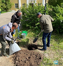 Шапша и Денисов посадили кедры в сквере у Танеевского зала