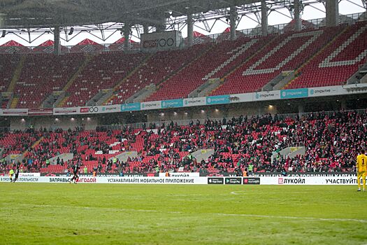 Депутат ЛПДР: с помощью правильной пропаганды можно продвинуть Fan ID в обновлённом виде