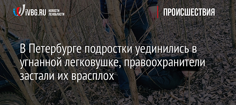 В Петербурге подростки уединились в угнанной легковушке, правоохранители застали их врасплох