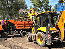 В Эльтавском лесу более 100 человек провели санитарную очистку