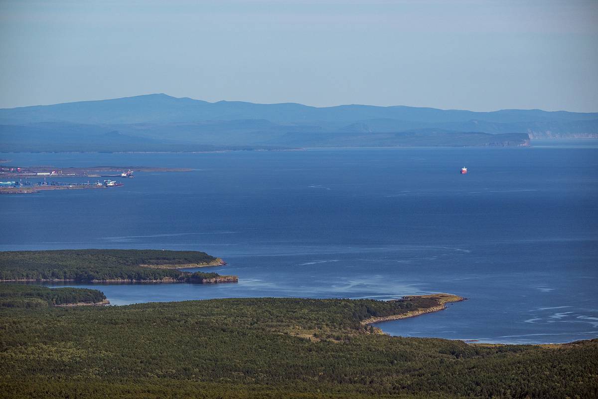 Пропавшей на сутки на Сахалине дайвершей оказалась российская чиновница