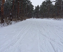 Нагрянувшие в Волгоград снегопады продлили лыжный сезон
