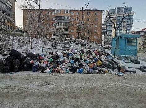 ЧС по всем фронтам: во Владивостоке назревает мусорный коллапс