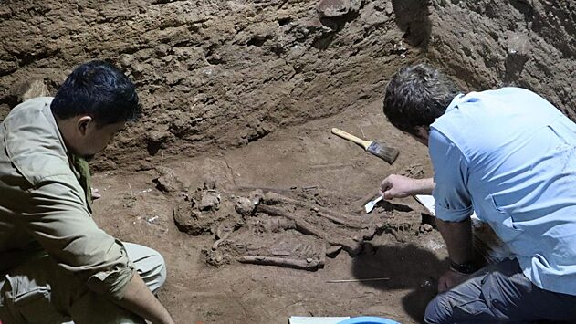 В Индонезии нашли следы самой древней в истории ампутации ноги