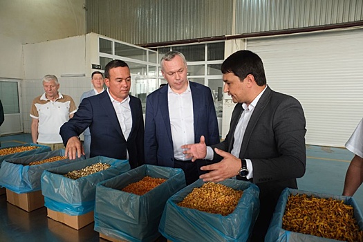 Между Новосибирской и Сурхандарьинской областями наладят встречные поставки продукции