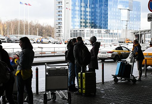 В Подмосковье рядом с аэропортами обнаружили более 300 нелегальных перевозчиков