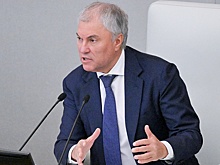 Володин разъяснил, какие иностранные водительские права действительны в России