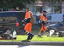 Власти зарезервировали деньги для восстановления газонов в Москве после ЧМ по футболу