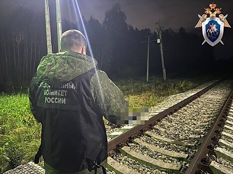 В Завьяловском районе поезд насмерть сбил местного жителя