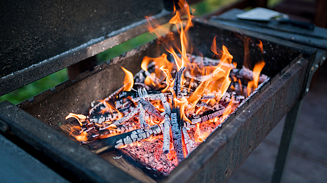 Раскрыто, какие дрова можно и нельзя использовать для жарки шашлыка