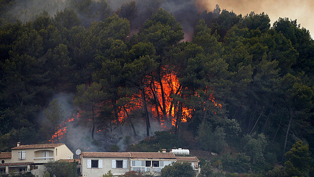 Лесные пожары подбираются к Лазурному берегу
