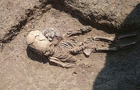 В Крыму нашли могилу  ребенка - «инопланетянина»