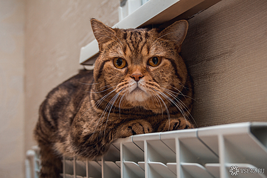 Сибирский город начал отопительный сезон с почти полностью изношенными теплосетями